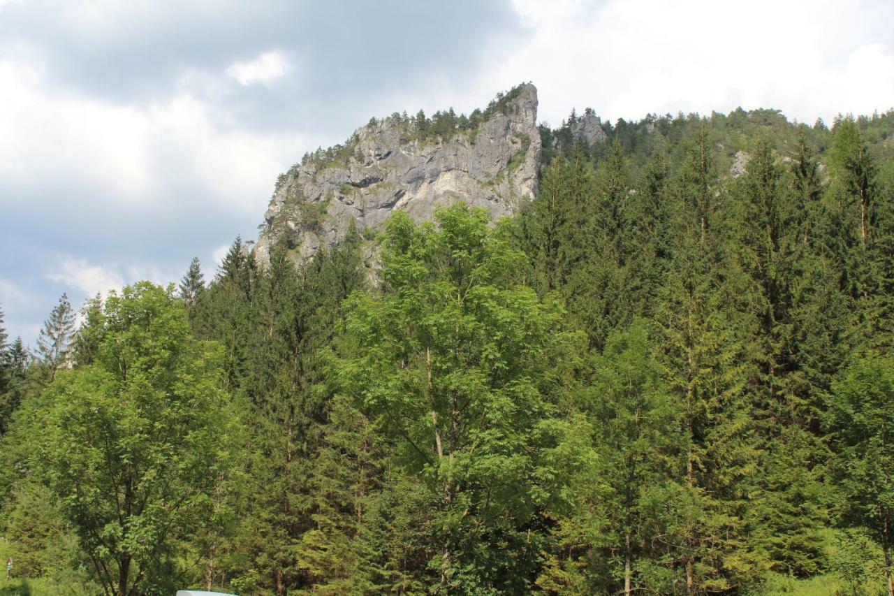 Apartman Romanna Tierchowa Zewnętrze zdjęcie